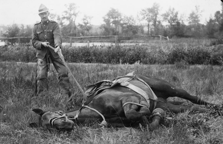 Strathmore RCMP celebrate 100 years in the community StrathmoreNow